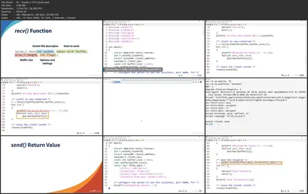 Network Programming in C: Develop Reliable Client/Server Applications [Updated: 12/12/2024]