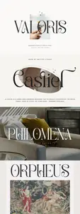 Valoris - Modern Display Serif Font 4E9M9CW