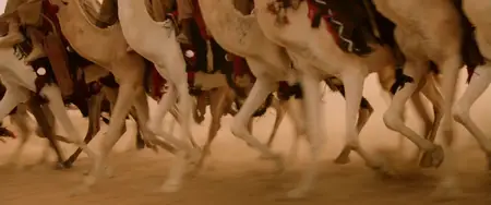 Alexander (2004)