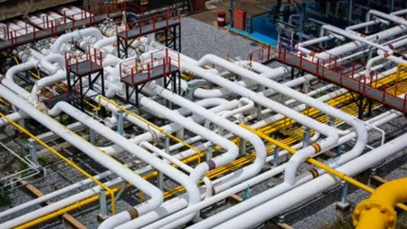 ASME B36.10M & B36.19M: The Complete Guide to Steel Pipe