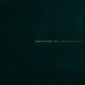 Tyshawn Sorey - The Susceptible Now (2024) [Official Digital Download 24/96]