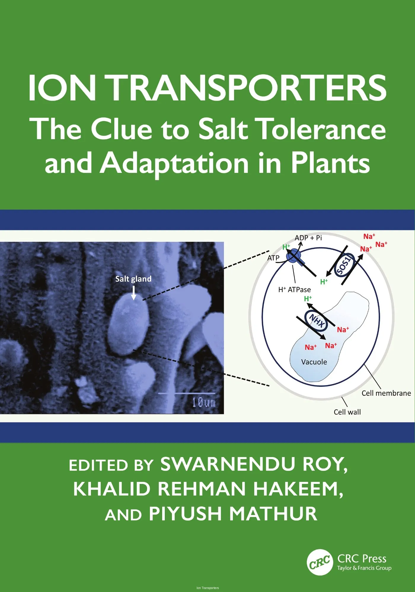 Ion Transporters: The Clue to Salt Tolerance and Adaptation in Plants