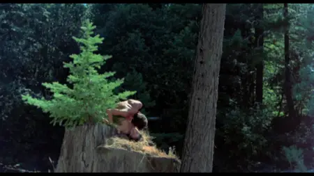 Up! (1976) + Commentary