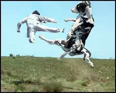Kung pow : enter the fist - Comédie, Arts Martiaux [French]