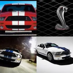 Ford Shelby GT Wallpapers