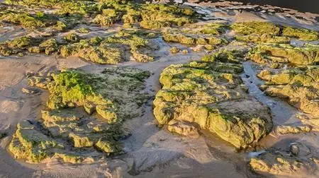 Mossy beach rocks at sunset