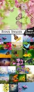 Nature with butterflies - 25 HQ Jpg