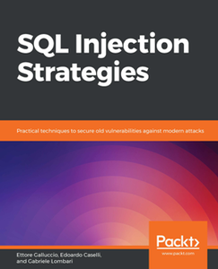 SQL Injection Strategies [Repost]