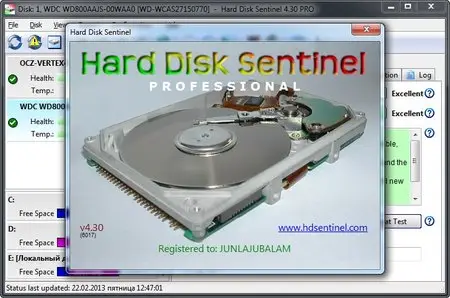 Hard Disk Sentinel Pro 4.30 Build 6017 Multilingual + Portable