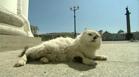 Länder Menschen Abenteuer - Eremitage Palast der Katzen (2011)