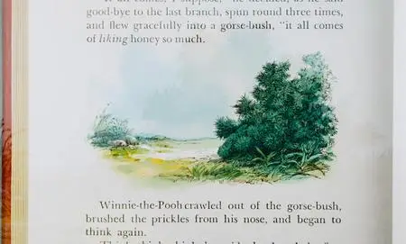 The Many Adventures of Winnie the Pooh (1977)