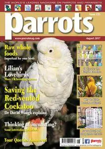 Parrots - August 2017
