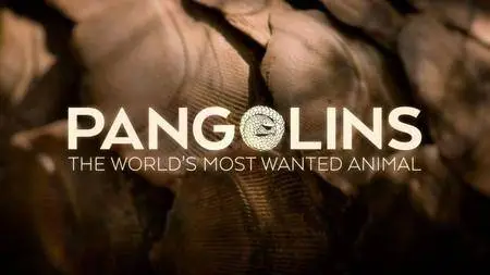 BBC Natural World - Pangolins: The World's Most Wanted Animal (2018)