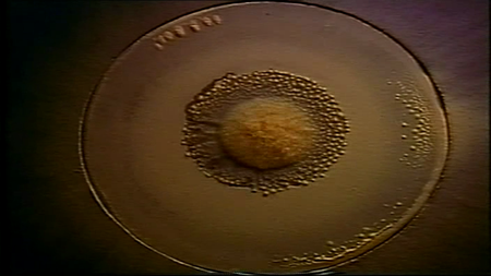 Cymatic Soundscapes (Part IV in a IV-part Series)