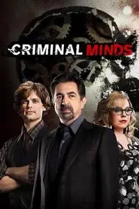 Criminal Minds S15E08