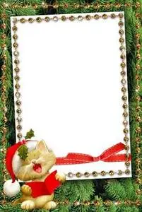 Kitten Frame for Photoshop