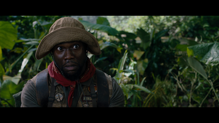 Jumanji: Welcome to the Jungle (2017)