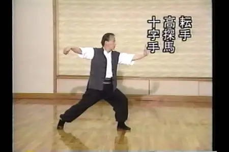 Adam Hsu - Chen Tai Chi Chuan Old Form