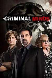 Criminal Minds S03E14