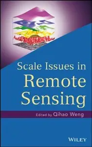 Scale Issues in Remote Sensing