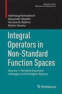 Integral Operators in Non-Standard Function Spaces: Volume 1