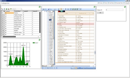 Nucleon BI Studio 6.0.1700.121214