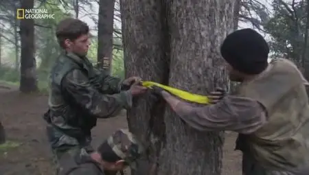 National Geographic - Alien Invasion (2013)