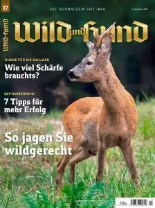 Wild und Hund - 5 September 2019