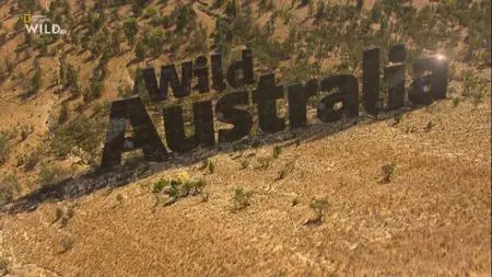NG. - Wild Australia: Will To Survive (2021)
