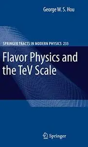 Flavor Physics and the TeV Scale
