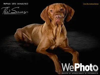 WePhoto - Animals, Volume 3 2016
