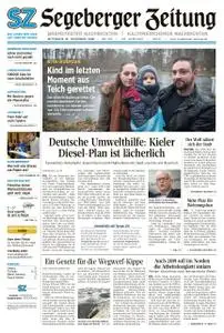 Segeberger Zeitung - 19. Dezember 2018
