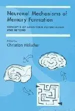 Neuronal mechanisms of memory formation (Repost)