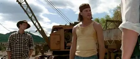 Fire in the Sky (1993)