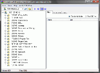 Moleskinsoft Directory Size v1.6