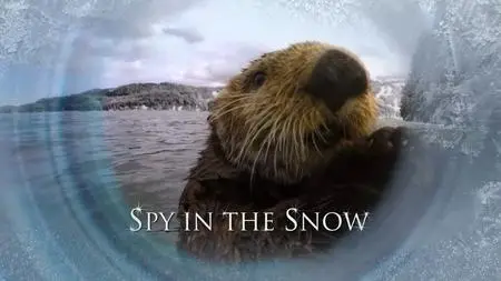 BBC - Spy in the Snow (2018)