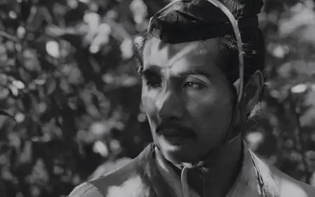 Rashomon