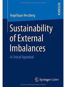 Sustainability of External Imbalances: A Critical Appraisal