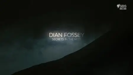 Dian Fossey: Secrets in the Mist (2020)