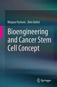 Bioengineering and Cancer Stem Cell Concept [Repost]