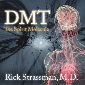 DMT: The Spirit Molecule (Audiobook)