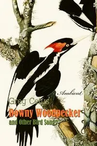 «Downy Woodpecker and Other Bird Songs: Nature Sounds for Awakening» by Greg Cetus