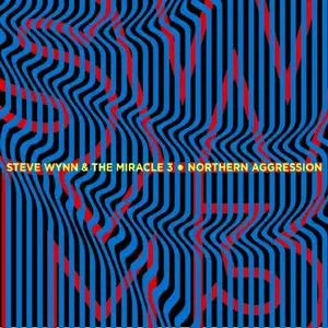 Steve Wynn & The Miracle 3 - Northern Aggression