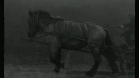 A Torinói ló / The Turin Horse (2011)