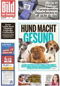 Bild am Sonntag - 16. Juni 2019