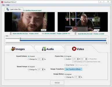 VideoDetach Pro 1.2.9 Portable