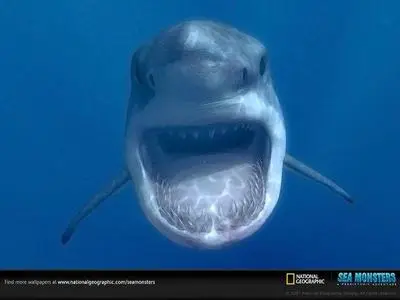 NG Sea Monsters Wallpapers