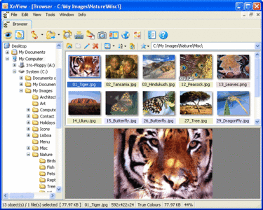 XnView 1.98.6 Complete Multilanguage Portable