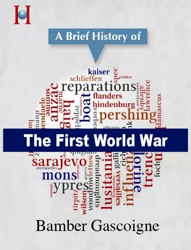 A Brief History of the First World War
