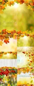 Stock Photo - Autumn Backgrounds with Leaves